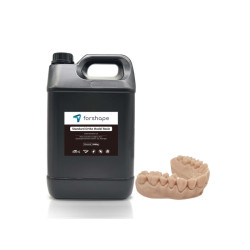 Résine Ortho Model Forshape Premium - 5 kg