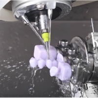 DGSHAPE DWX-43 - Titane